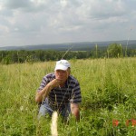Клубничное пастбище на Овечьей горе в Башкирии
