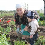 022_Белоусова_в огороде