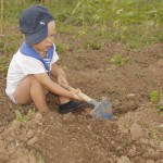 024_Белоусова_Внук окучивает картошку