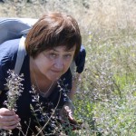 103_Красненко_6