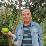241_Телешев_Остров Гомера